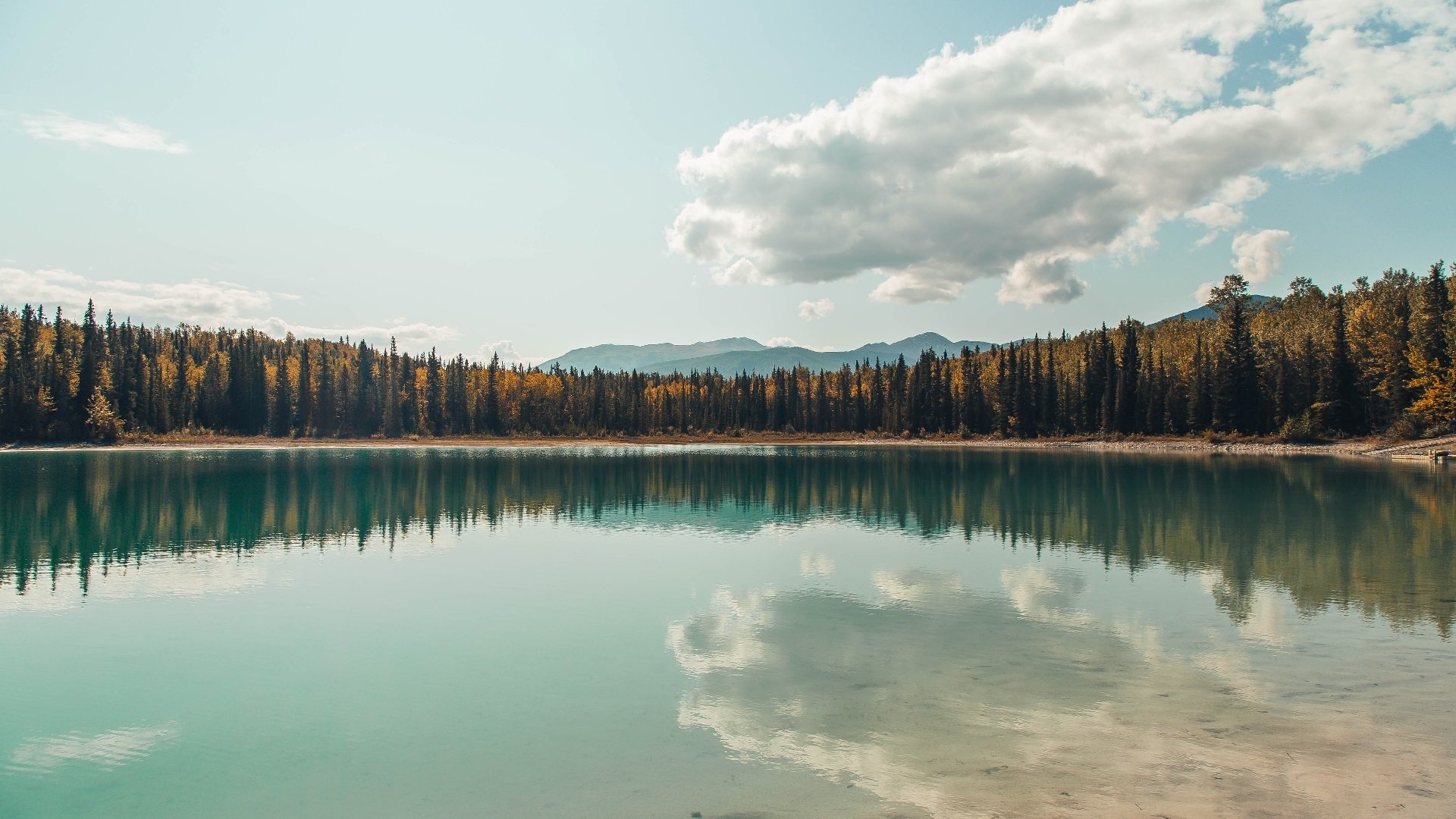 拜仁慕尼黑主场4-1大胜斯图加特,进攻火力全开,拜仁慕尼黑433