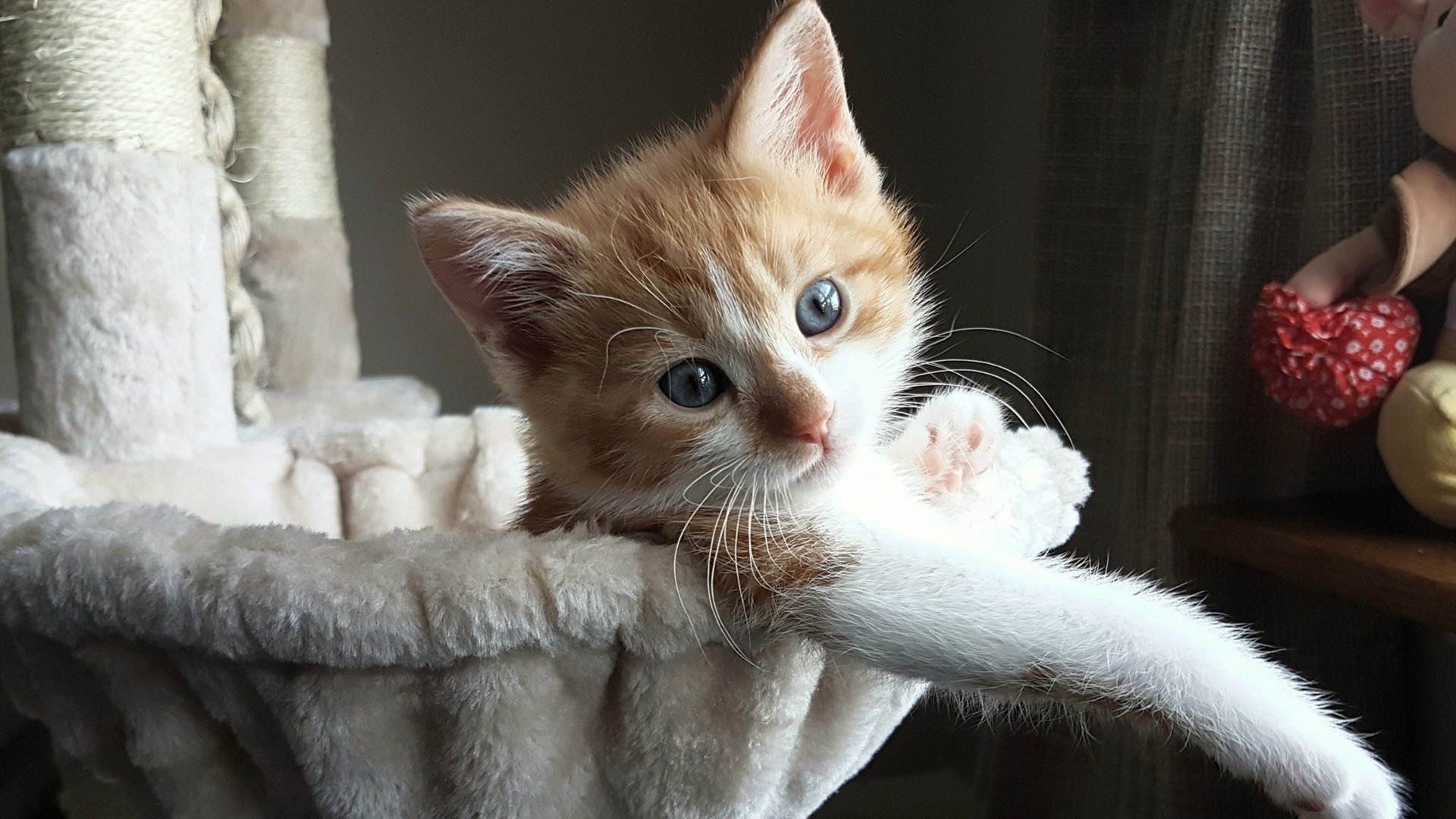 拜仁慕尼黑主场4-1大胜斯图加特,进攻火力全开,拜仁慕尼黑433