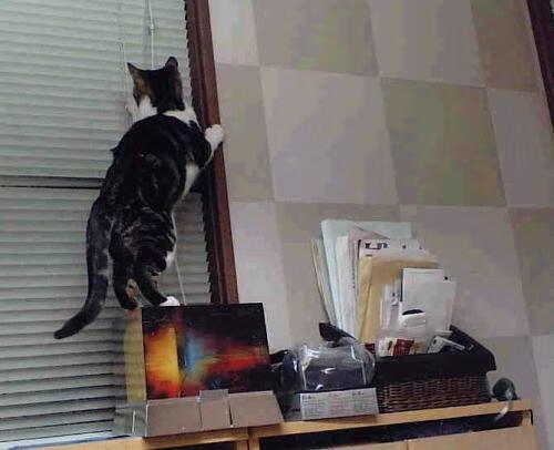 梅西率领巴萨逆风翻盘,轻松晋级,梅西_巴萨若不重建就离队 视频