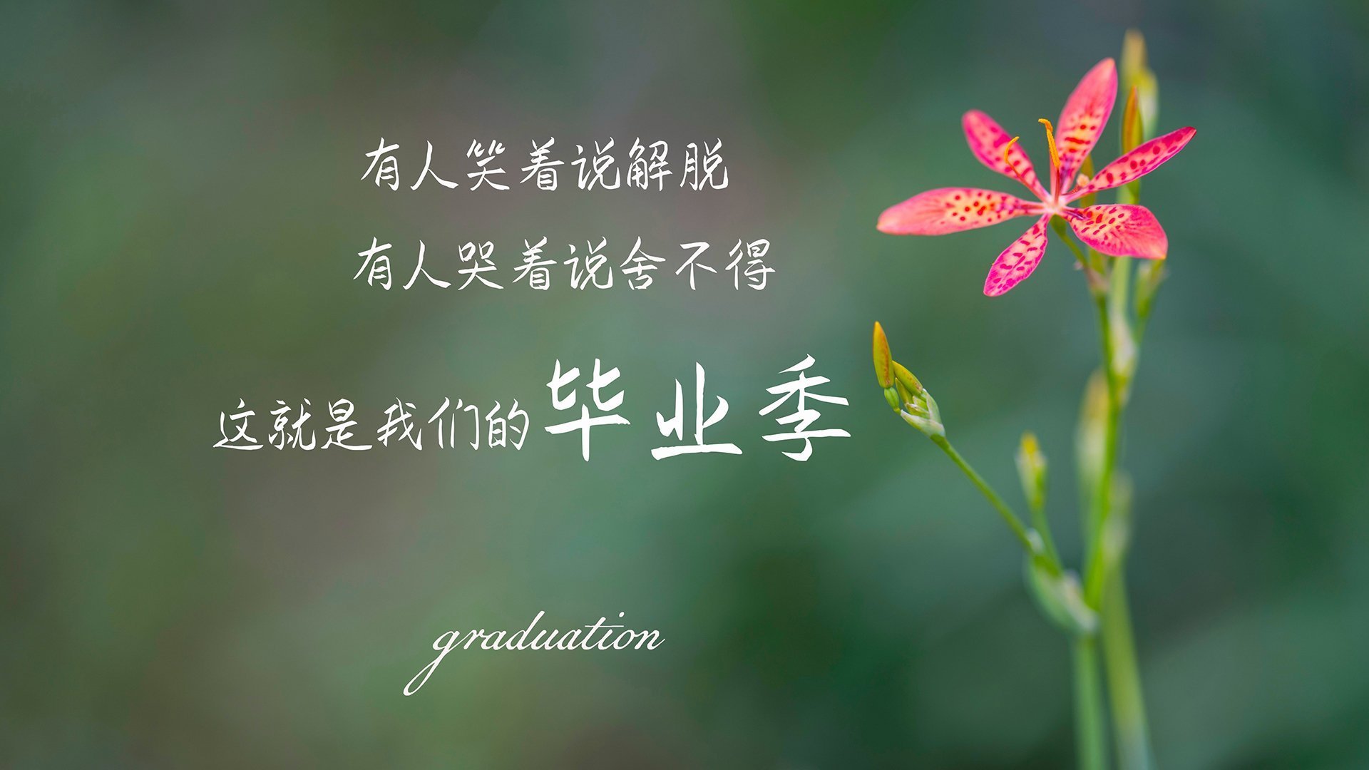 火箭队后场球员发挥亮眼，抢断得分不断，火箭队的下场