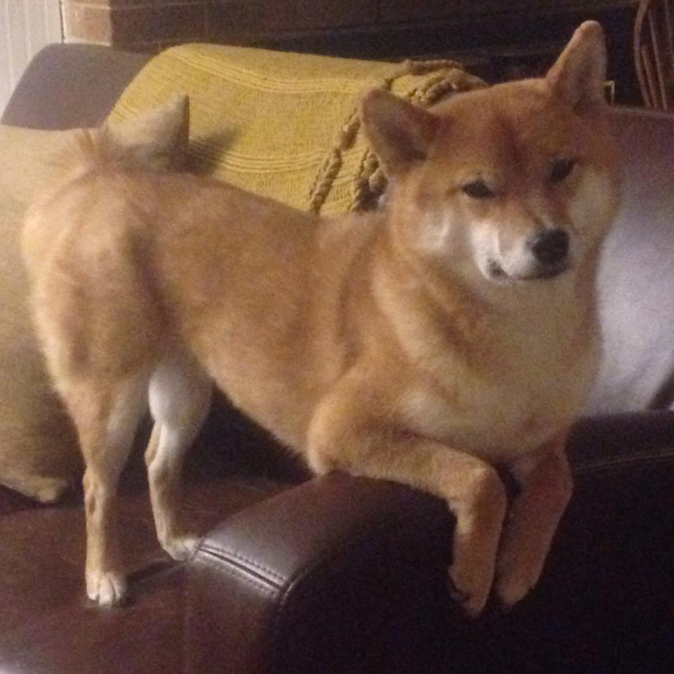 皇马客场3-1战胜马洛卡,豪取三连胜,皇马 客场