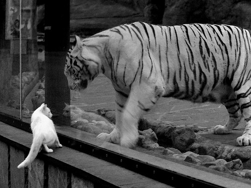 皇马客场3-1战胜马洛卡,豪取三连胜,皇马 客场