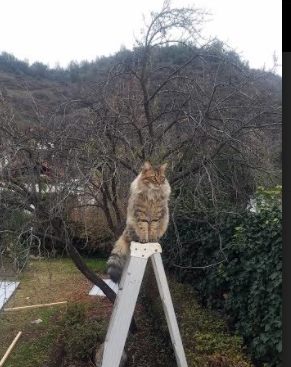 硬汉风采：辽宁选手勇夺胜利关键，辽宁男队