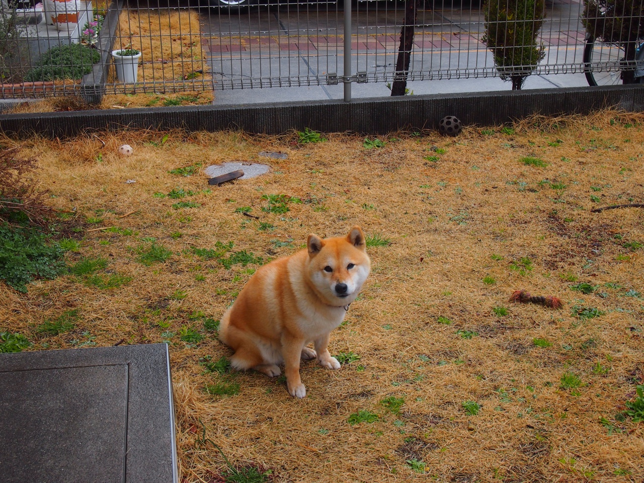 雷恩泰前锋梅开二度,率队战胜劲旅取得胜利,雷恩简介