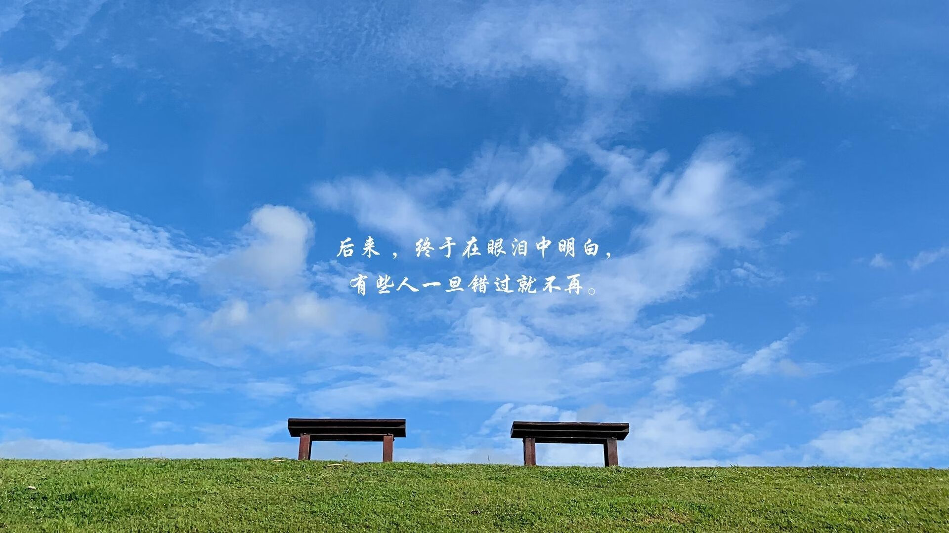 霍芬海姆士气高涨,实现团队壮举,霍芬海姆队徽图片