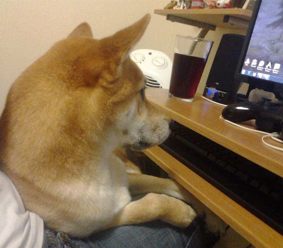 马赛新援首秀献绝杀,帮助球队取得胜利,马赛首发