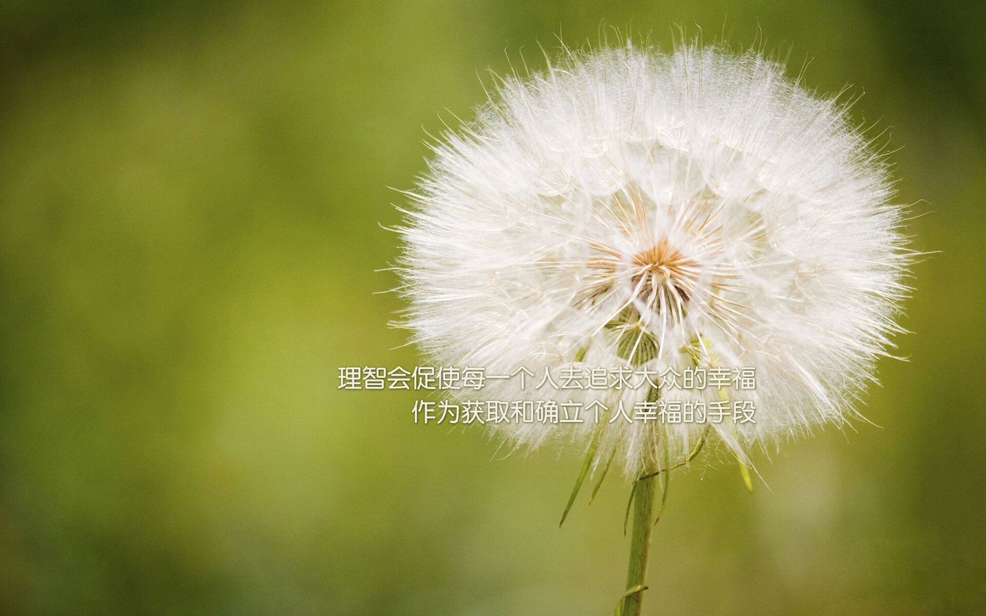 NBA球员赛季心理素质培养,nba球员的身体素质怎么练