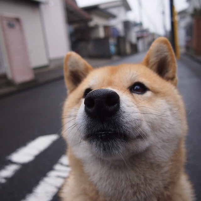 全国青少年铁人赛青岛站环节顺利完成，铁人杯全国竞走