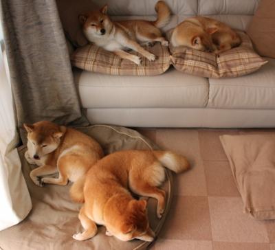 破解比赛:战术分析中的“套路”揭秘