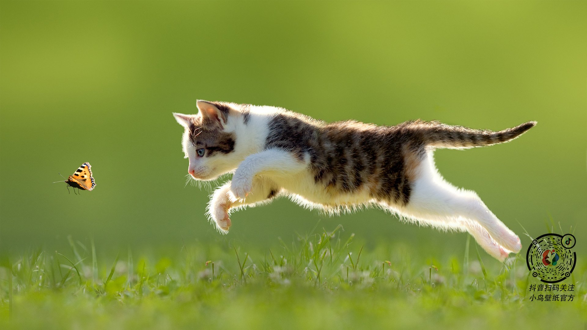 高校运动员心理韧性培养方法研究,运动员心理建设