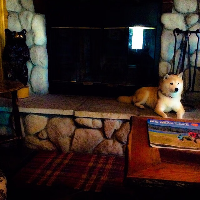 Chinese Taipei团队未来:竞技水平提升与国际化战略,chinese national team