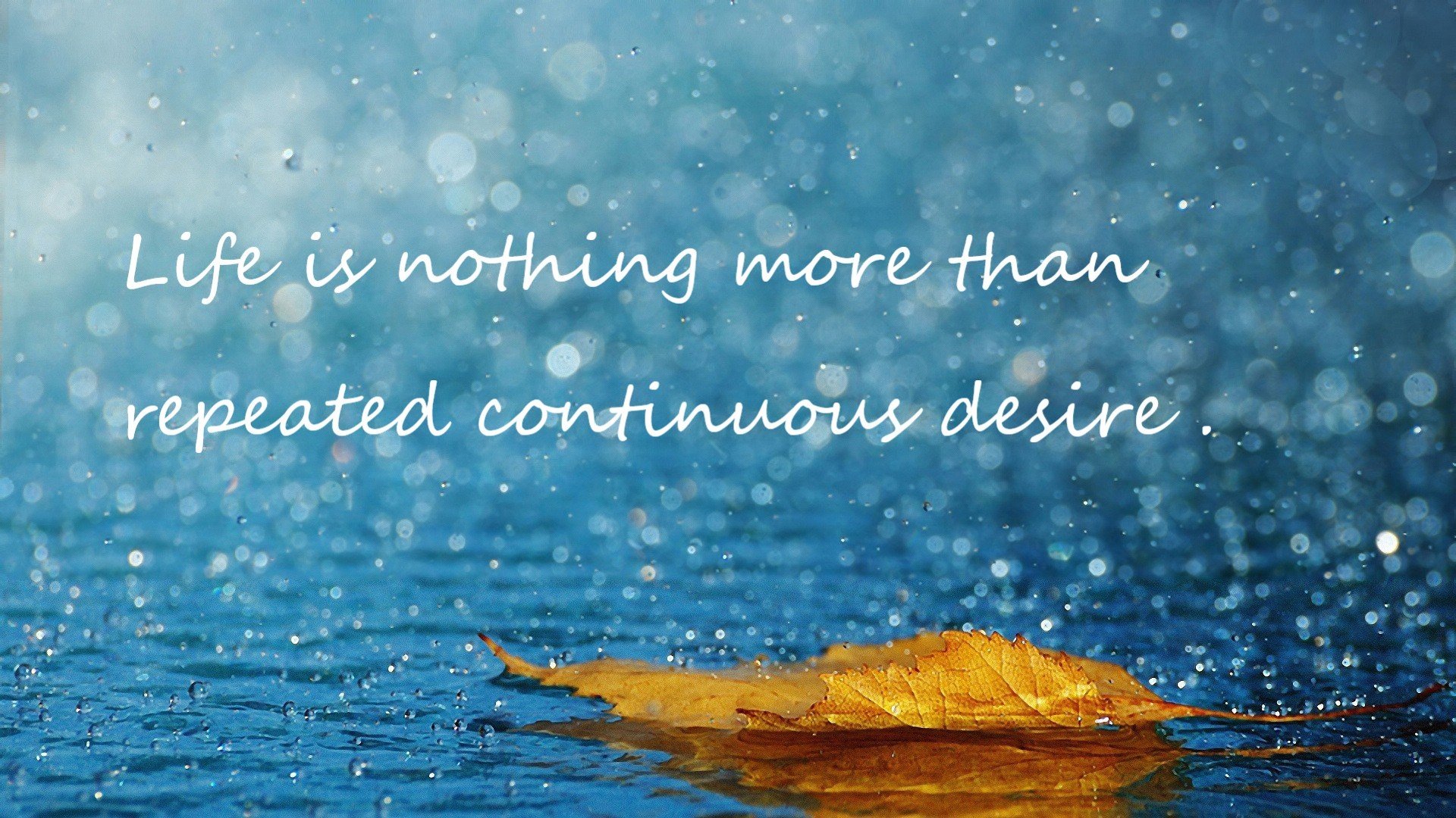 “香港牛仔3K亲子跑:亲子携手并肩,赛道上的温馨时刻”