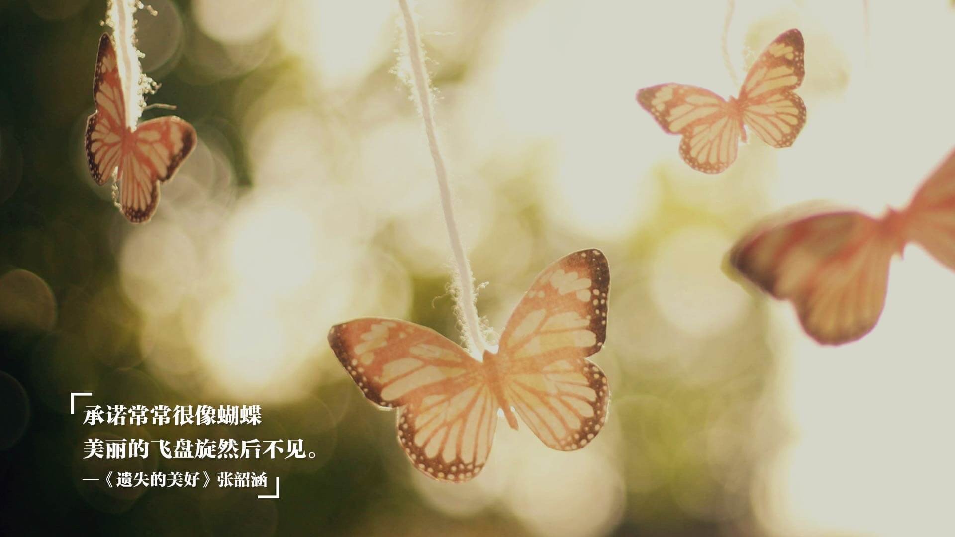 “高新区全民健身馆短柄墙球赛:游戏规则已改变,选手们用脑力征服赛场”