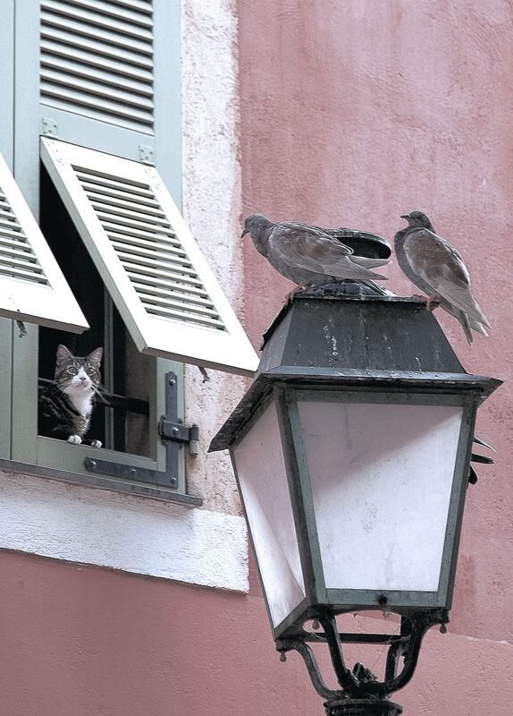 乒乓球青训计划实施 助力挖掘下一个马龙,青少年乒乓球训练计划