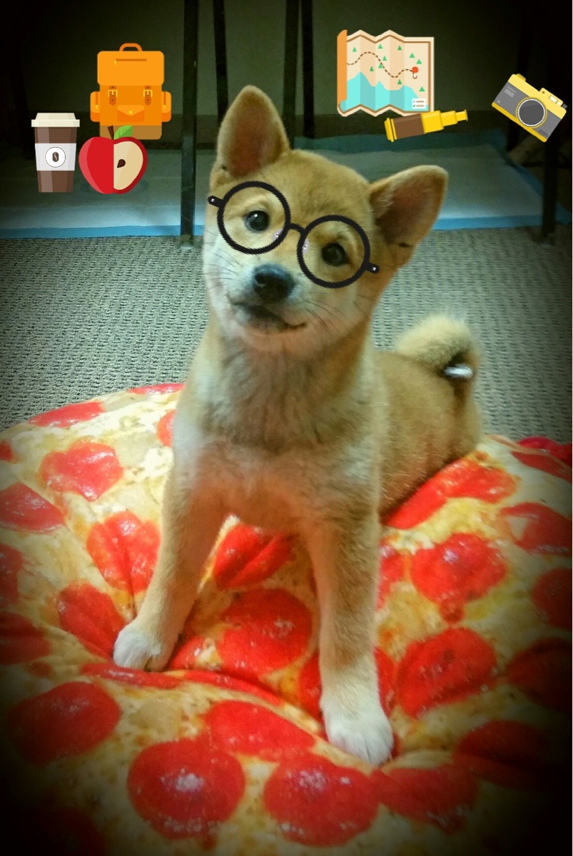 爱游戏中国官方登录入口网站-五大联赛俱乐部财政支出是否与成绩高度相关，五大联赛哪个俱乐部最有钱