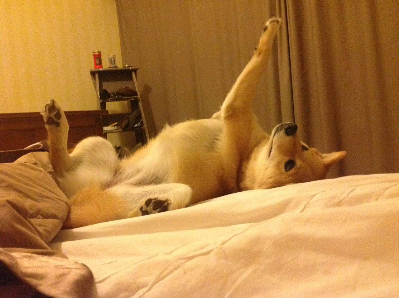 体育新闻中心发布体育新闻传播伦理指导手册,新闻传播伦理与规范案例