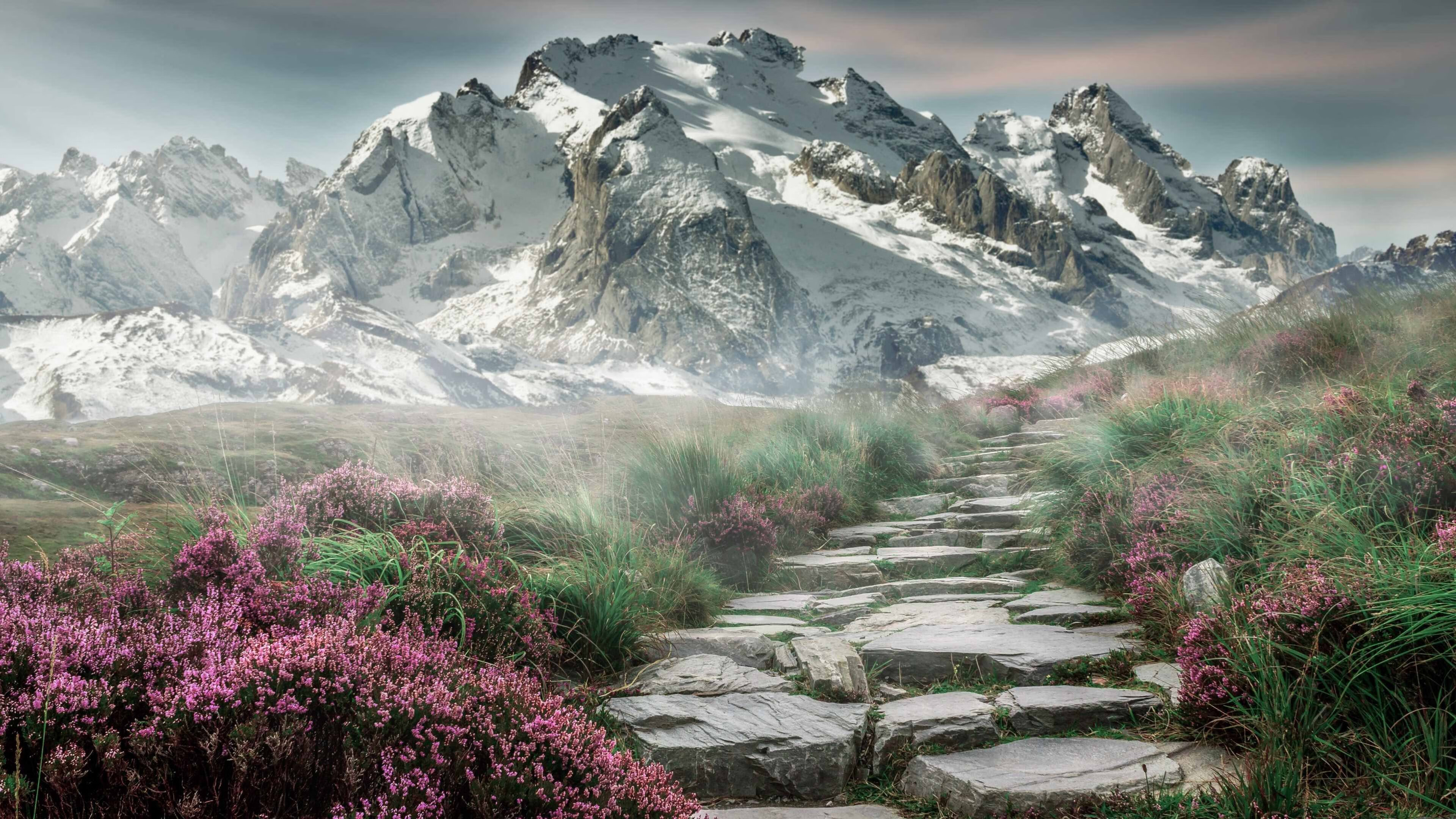 国家女篮在多场比赛中表现稳定保持连胜,女篮国家队最新名单