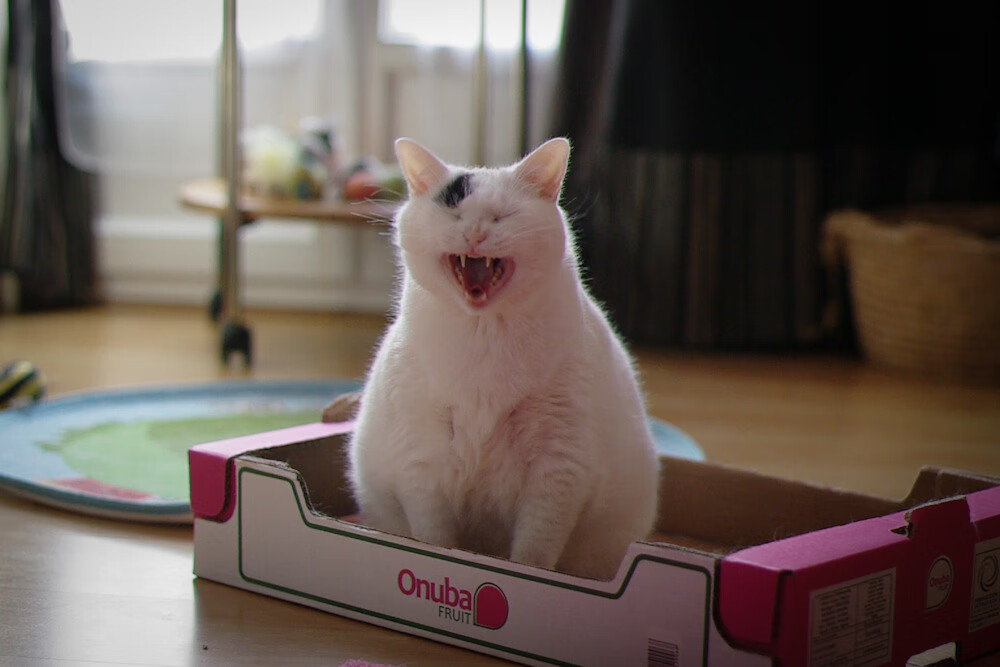 体育法律知识普及月活动走进基层社区,体育法宣传标语