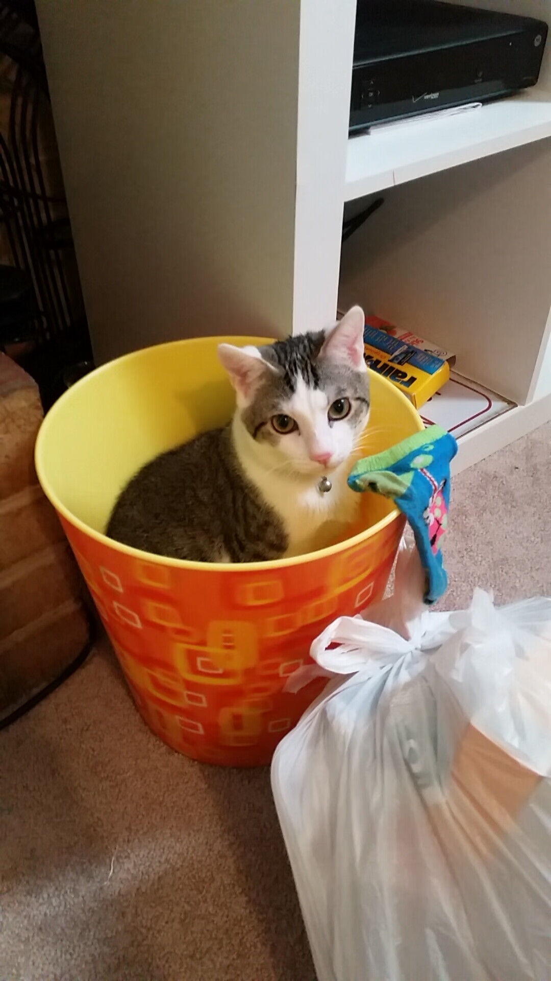 西甲神级球技:令人叹为观止的盘带表演,盘带训练基本功 梅西从小就这么练