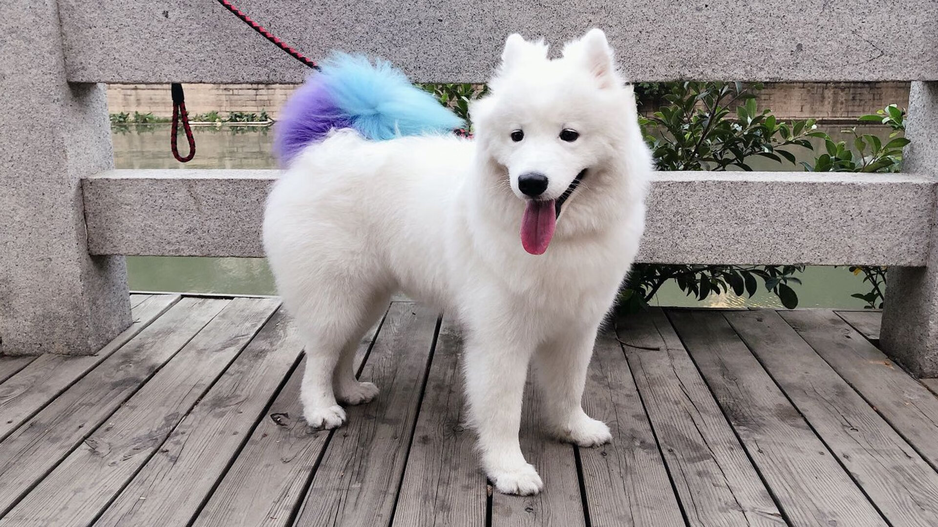 西甲瞬间进球:精彩镜头不断刷屏!,西甲球队进球纪录