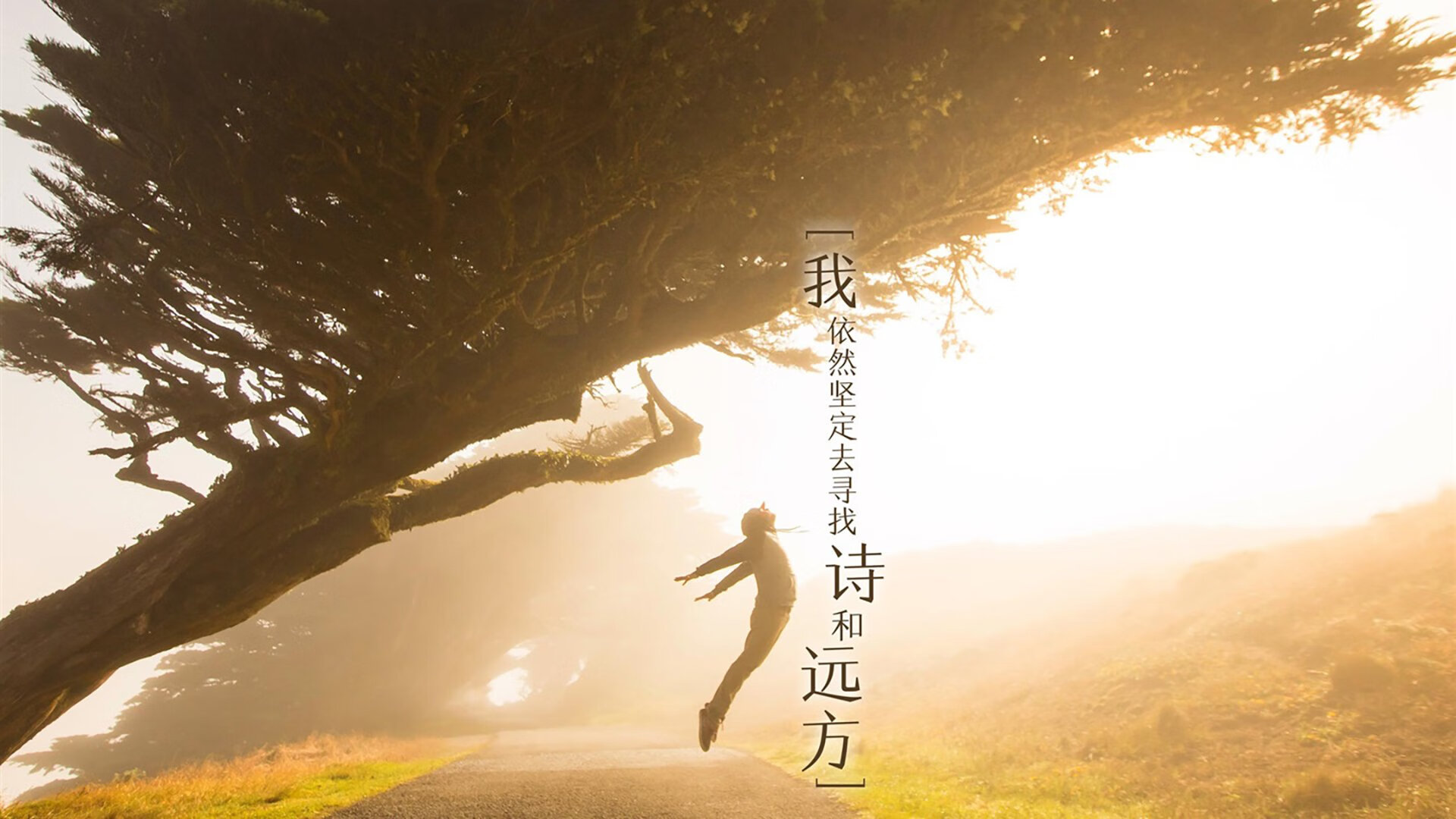 爱游戏体育官方网站-西甲高速反击：速度与智慧的极致结合，西甲ds