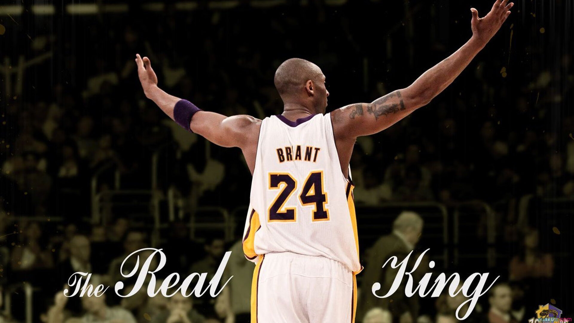 “战术布置”——教你看懂车队的战略布局,车队组织架构